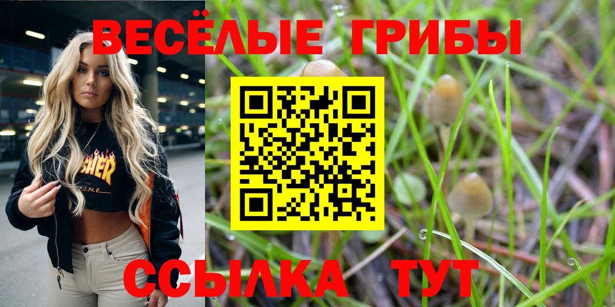 Каменск-Уральский  Псилоцибиновые грибы Magic Shrooms  Вход с VPN 